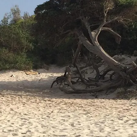 Mare E Centro Alghero