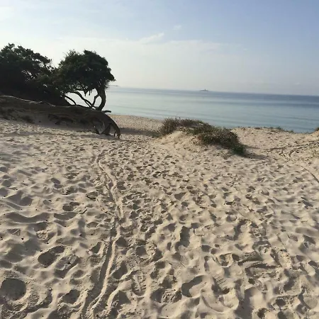 Mare E Centro *
