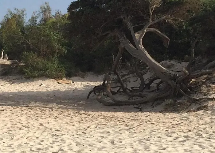 Mare E Centro Alghero